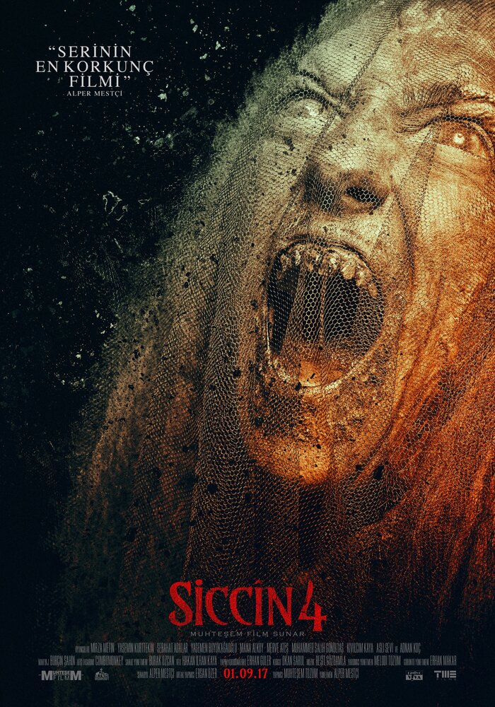 Сиджин 4 / Siccin 4