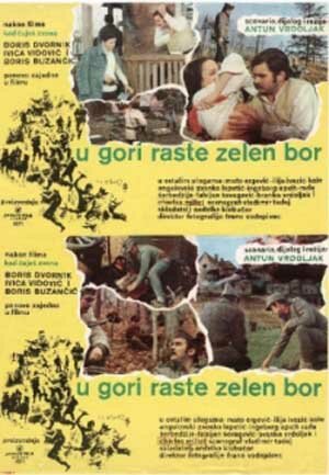 На горе растет зеленая сосна / U gori raste zelen bor