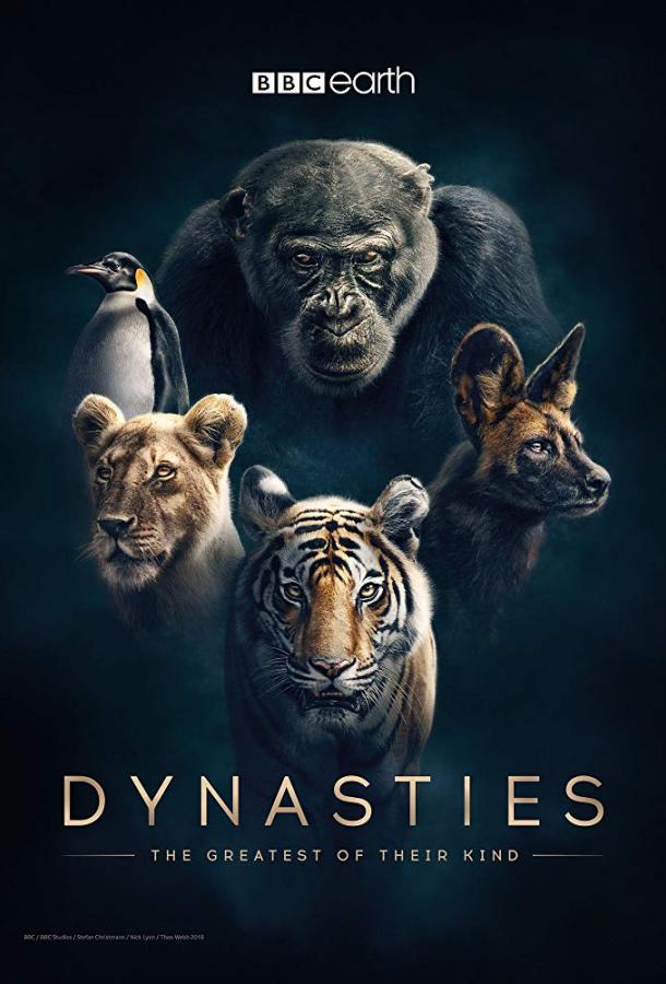 Династии / Dynasties