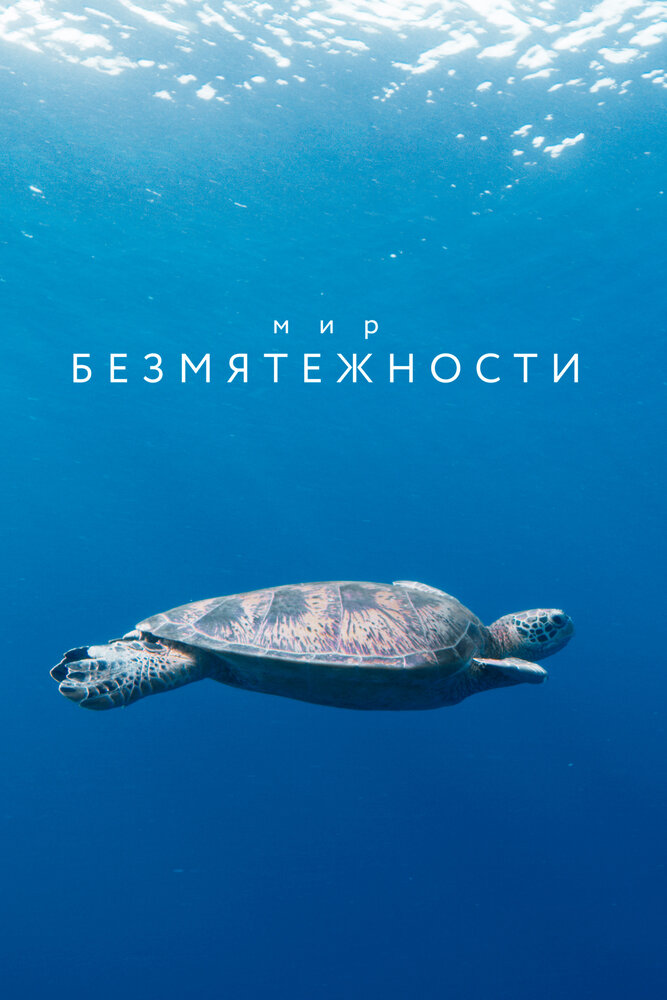 Мир безмятежности / A World of Calm