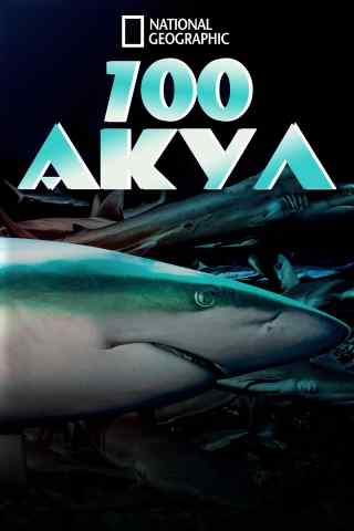 700 акул / 700 Sharks