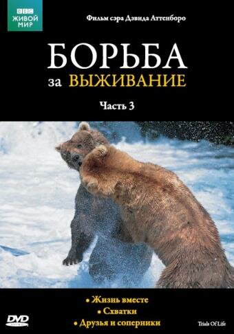 BBC: Борьба за выживание / The Trials of Life