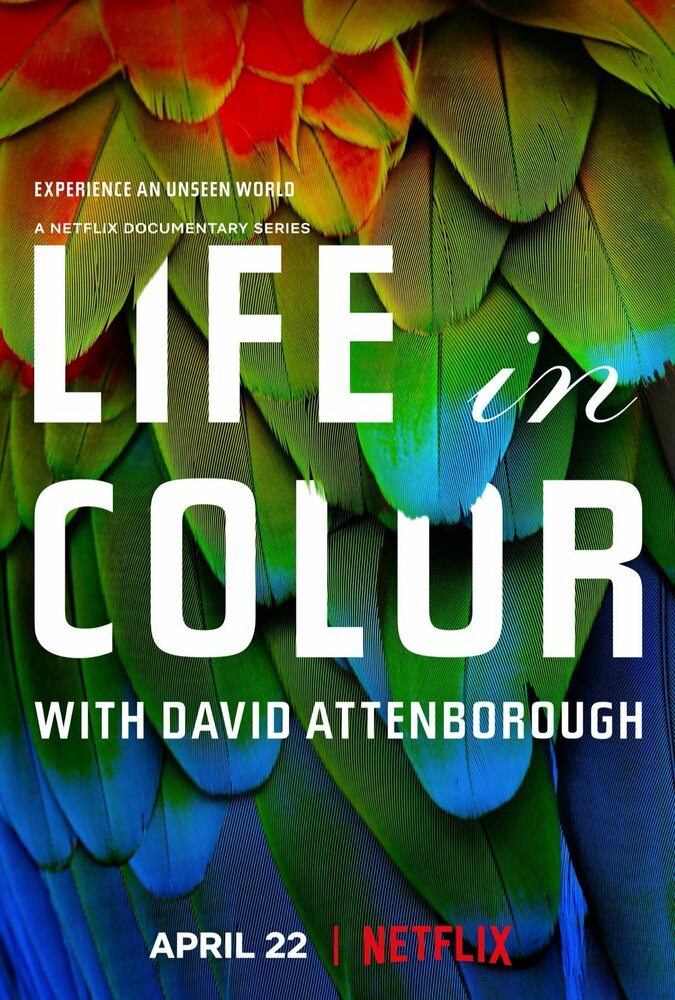 Жизнь в цвете с Дэвидом Аттенборо / Life in Colour