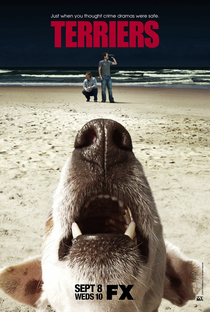 Терьеры / Terriers
