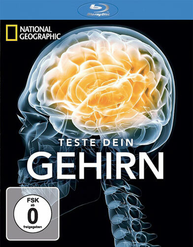 Испытайте свой мозг / Test Your Brain