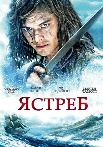 Ястреб / L'épervier