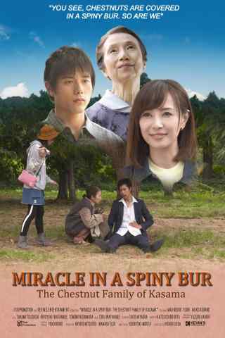 Чудо в Колючем Бору: Каштановая Семья из Касамы (Чудо в Касаме) / Miracle in a Spiny Bur: The Chestnut Family of Kasama