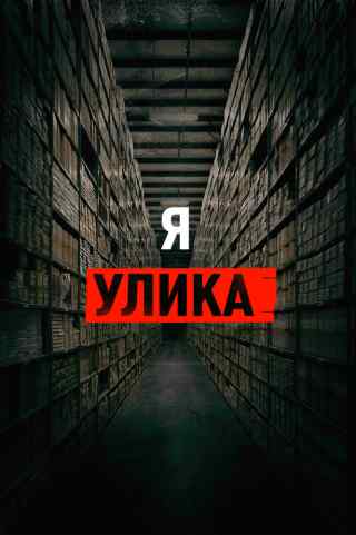 Я — улика / I Am Evidence