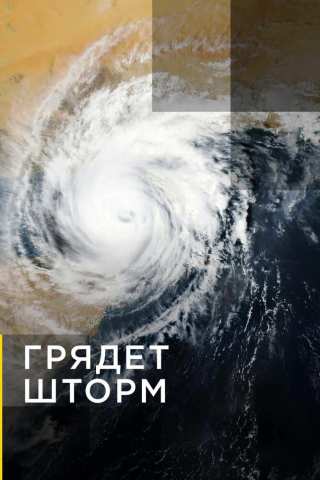 Грядет шторм / Gathering Storm