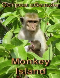Остров обезьян / Monkey Island