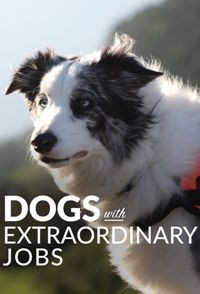 Удивительные профессии собак / Dogs with Extraordinary Jobs
