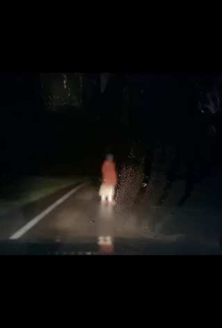 Регистратор / Dashcam