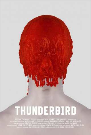 Громовая птица / Thunderbird