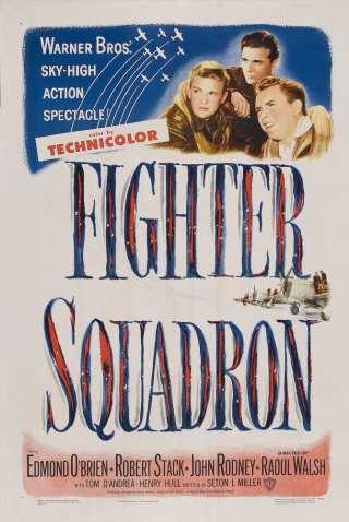 Эскадрилья истребителей / Fighter Squadron