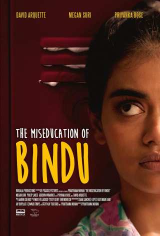 Неправильное воспитание Бинду / The MisEducation of Bindu