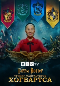 Гарри Поттер: Битва факультетов / Harry Potter: Hogwarts Tournament of Houses