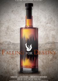 Судьба покажет / Falling for Destiny
