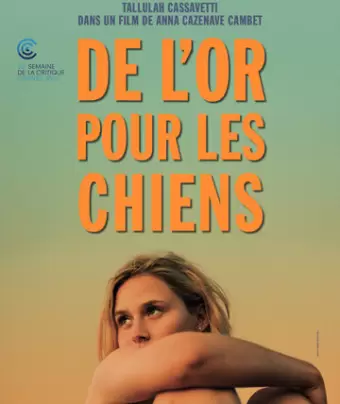 Бисер перед свиньями / De l'or pour les chiens