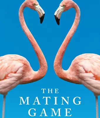 Брачная Игра / The Mating Game