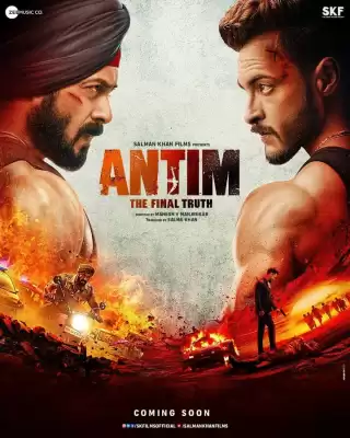 Окончательная Правда / Antim: The Final Truth