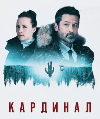  Кардинал / Cardinal