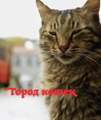 Город кошек / Kedi