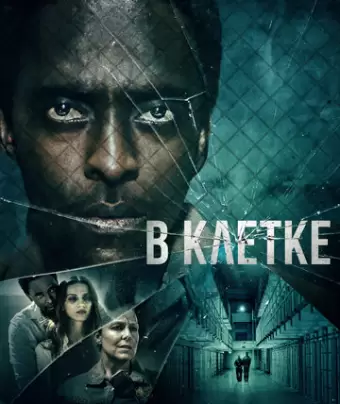 В клетке / Caged