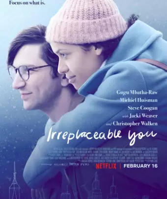 Незаменимый ты / Irreplaceable You