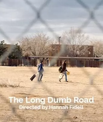 Долгая идиотская дорога / The Long Dumb Road