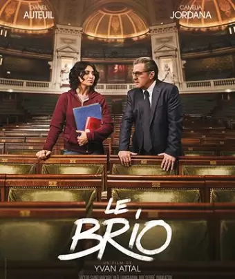 Блестяще / Le brio