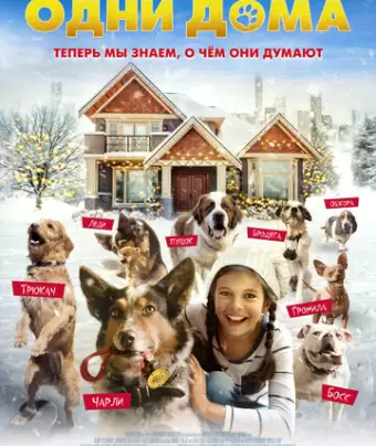 Одни дома / Pups Alone