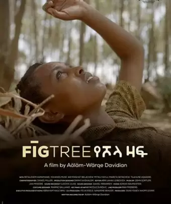 Инжир / Fig Tree