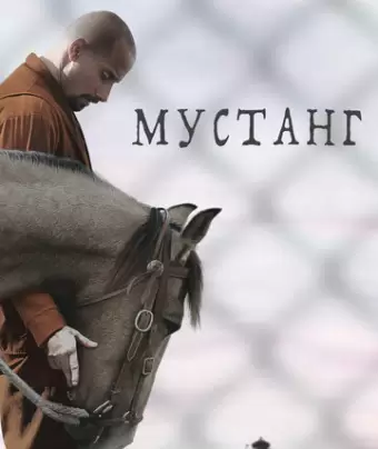 Мустанг / The Mustang