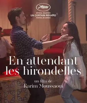 Когда вернутся птицы / En attendant les hirondelles