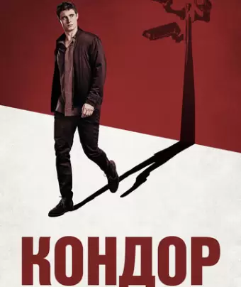 Кондор / Condor