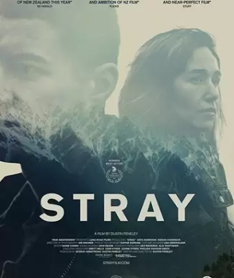 Заблудшие / Stray
