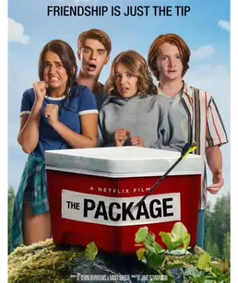Прибор / The Package