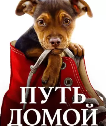 Путь домой / A Dog's Way Home