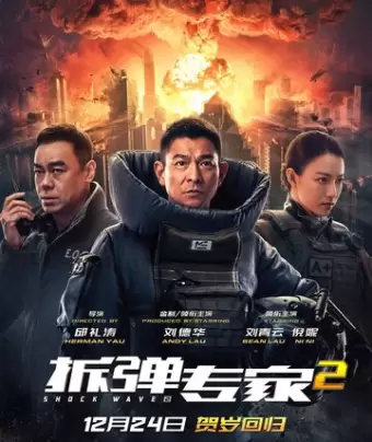 Ударная волна 2 / Chai dan zhuan jia 2