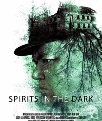 Духи в темноте / Spirits in the Dark