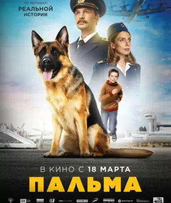 Пальма