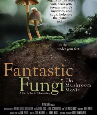 Фантастические Грибы / Fantastic Fungi