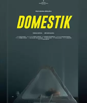 Домашний режим / Domestik