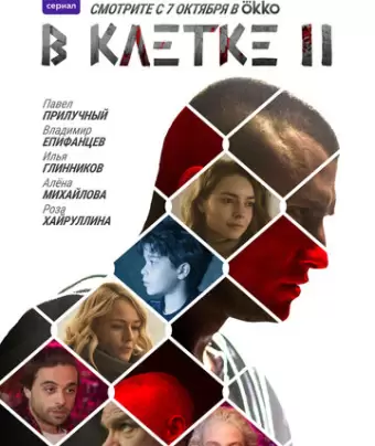 В клетке