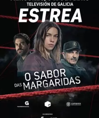 Аромат маргаритки / O sabor das margaridas