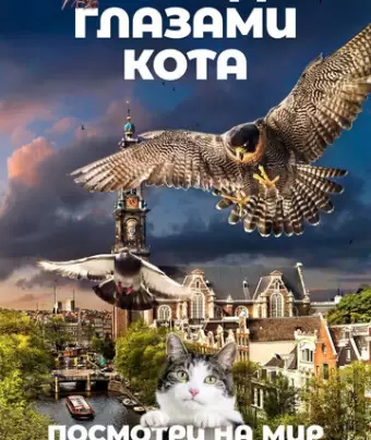 Город глазами кота / De wilde stad