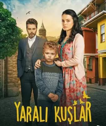 Раненые птицы / Yarali Kuslar