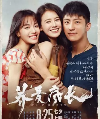 Дикие травы / Qiao mai feng zhang
