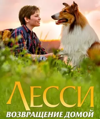 Лесси. Возвращение домой / Lassie - Eine abenteuerliche Reise