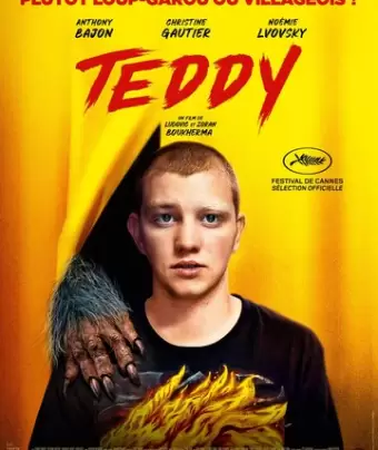 Тедди / Teddy